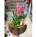 Figürlü Sukulent Teraryum & Dekore Saksı Aranjmanı